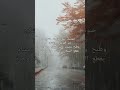 كلى ماكان عندك البرد وسيلان