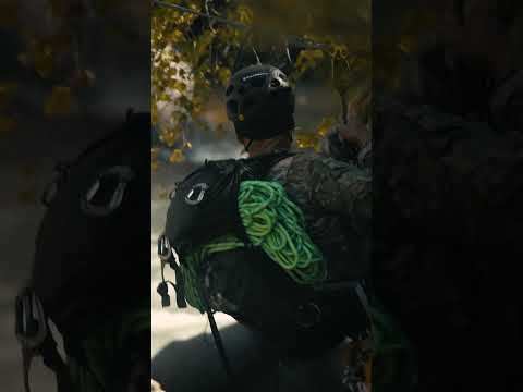 Level Up With Specialized Schools