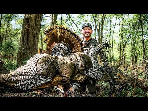 Iowa Timber Bird With The Bow (decap With Dirty Bird Broadhead)
