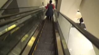 KONE Single-File Escalators @ Hyatt Regency, McCormick Place, Chicago, IL