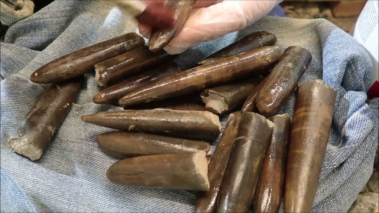 Jurassic Belemnites sandblasting with iron powder