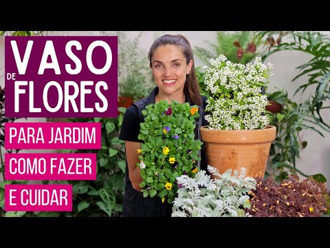 Vídeo: Flores de viola: plantio, cultivo e cuidado em campo aberto