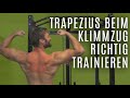 Richtige Ausführung beim Klimmzug – Trapezius trainieren – Klimmzüge richtig lernen