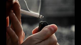 Organizaciones de la sociedad civil alertan por e ...