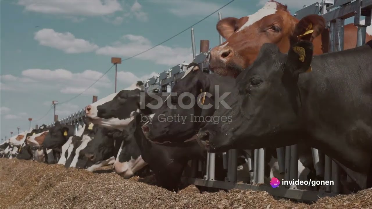 Unlocking High Fat Milk  A 12-Steps guide