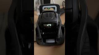 Anyone Knows How to Use Anki Vector Robot Without The Smartphone App?,#anki,#Vector,#ankivector,
Anyone Knows How to Use Anki Vector Robot Without The Smartphone App?
https://www.youtube.com/channel/UCzOcZ9oDfJyqTfeUXIRmH3A?sub_confirmation=1
https://www.youtube.com/watch?v=WcBNQm1gG8c&list=PLAcmE3jTJkWtE218hBQVka5wE0eo_lrvo
https://twitter.com/TravelGames3
https://www.facebook.com/groups/426447948167454/ Anyone Knows How to Use Anki Vector Robot Without The Smartphone App?,#anki,#Vector,#ankivector,