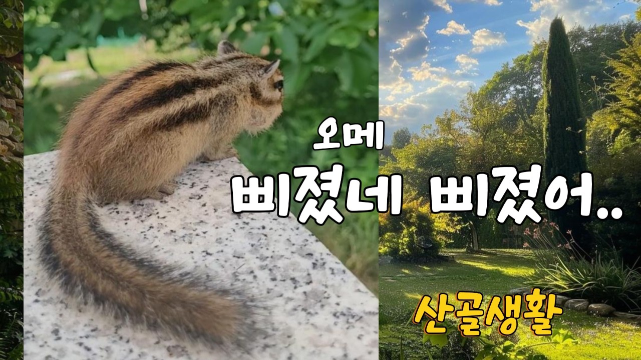 Видели ли вы капризного бельчонка, когда в горной деревне появляется электричество?