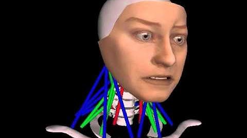 SIGGRAPH06 Biomechanical Modeling and Neuromuscular Control of the Human Neck