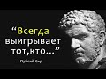 Римская мудрость  l Публий Сир: цитаты, афоризмы и умные мысли