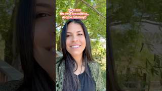 Trees Are Talking to Each Other And You're Part of the Conversation | Sol Series Ep. 5 #woodwideweb