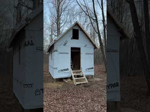 Off-Grid Cabin Build!