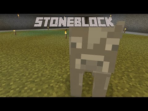 Stone Block  Minecraft Skin