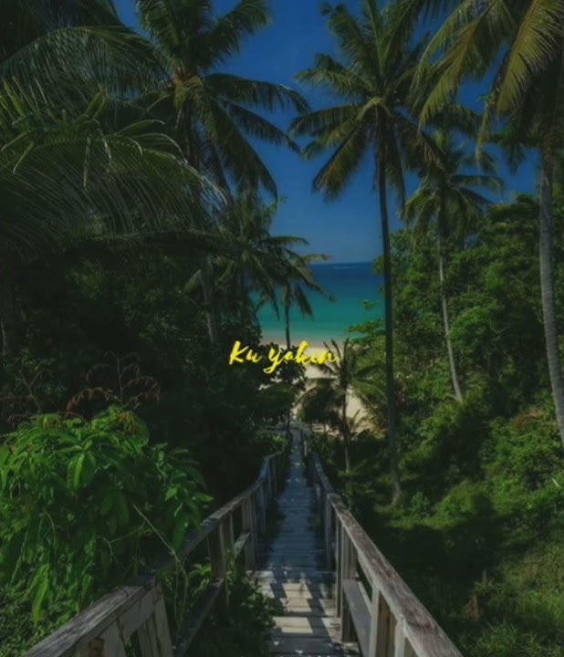Story wa lagu jawa cocok buat di pantai dengar nya
