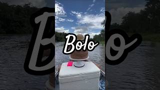 #bolos #recheio #cake