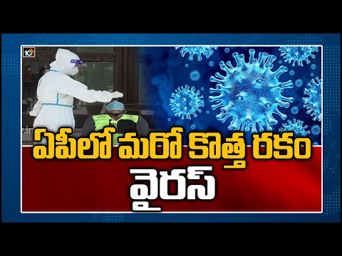 ఏపీలో మరో కొత్త రకం వైరస్ | Another New Virus Spreading in AP | 10TV News