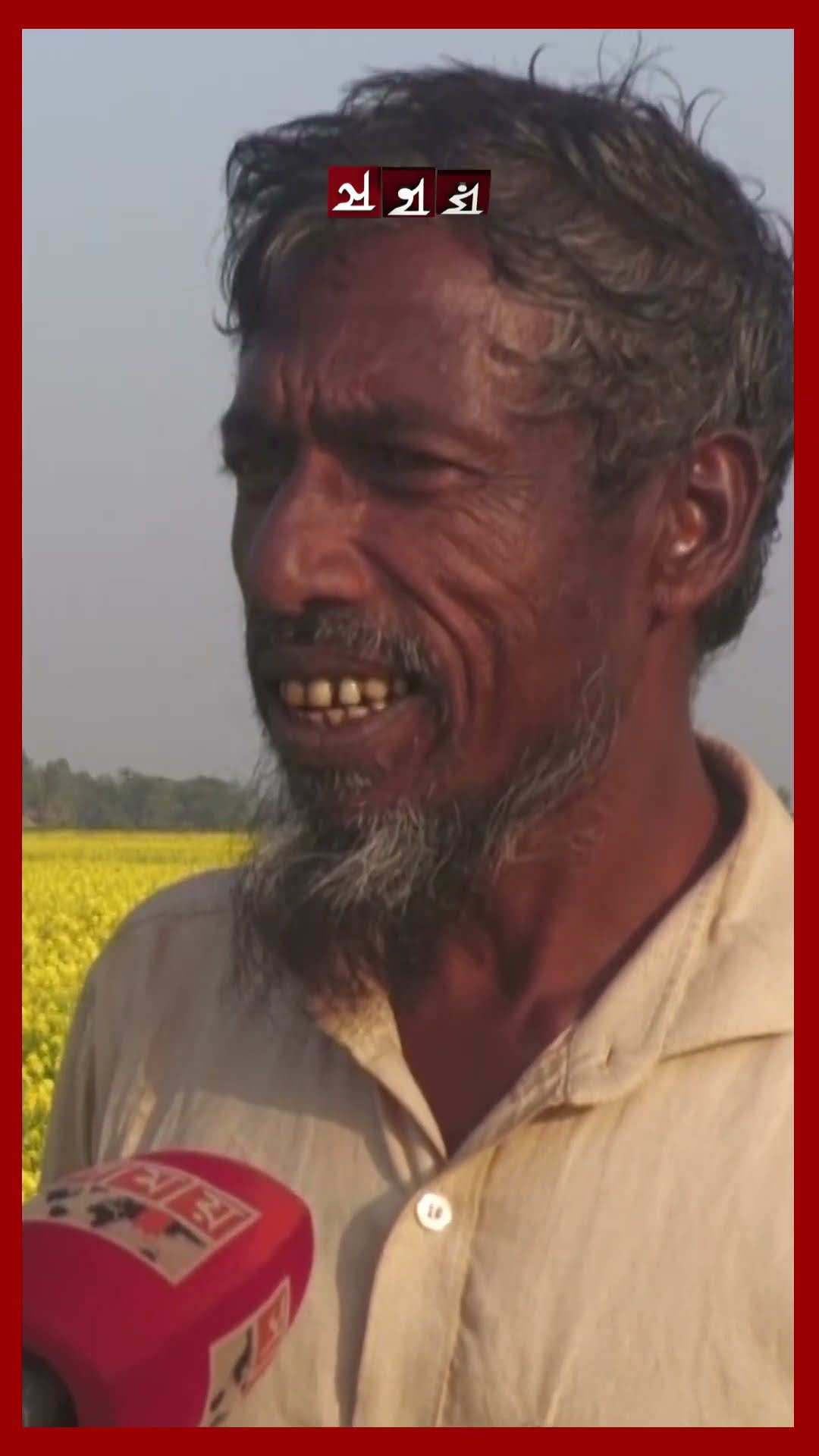 সরিষা ক্ষেতে মৌমাছি চাষে বাজিমাত! #hoenycultivation #jamalpur #mustardfield #shorts #somoytv