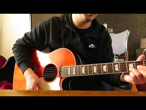 愛する人よ/奥田民生　cover ギターソロのみ
