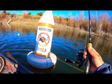 The Reality of Winter bass fishing