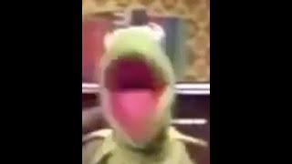 Kermit The Frog Being Angry Compilation