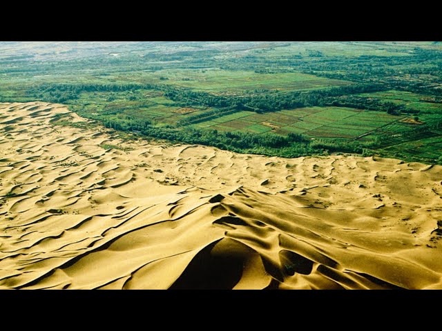 How China is Reforesting the Gobi  Desert into Forest - The Great Green Wall