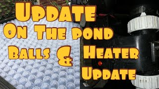 THEKOIPOND UPDATE ON THE NEW POND BALL'S AND HEATHER UPDATE