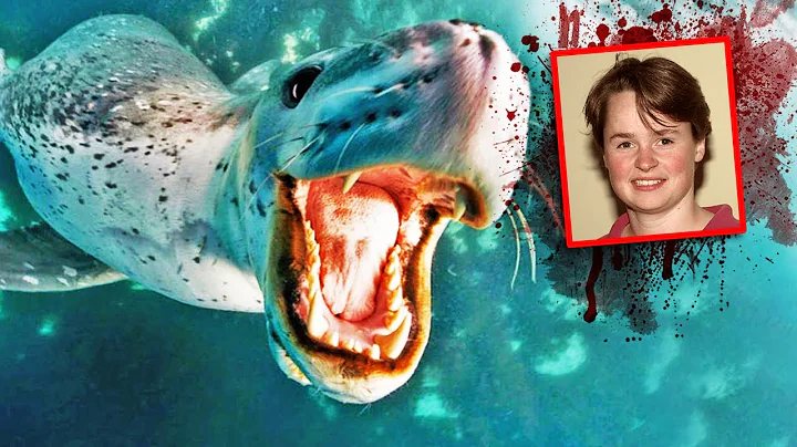 Kristy Brown TRAGICALLY DROWNS from Leopard Seal A...