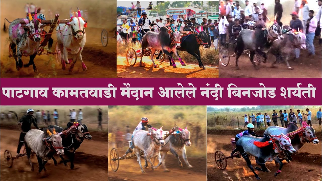 📍पाटगाव बिनजोड शर्यती || #patgav#bailgada #vlogger manya