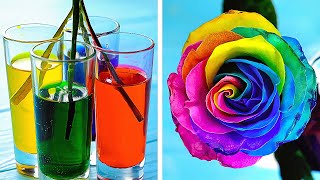 🌸 30+ DIY Flower Gifts That Will Make You Say 'Wow!' by Daily Fails 1,388 views 2 weeks ago 10 minutes, 49 seconds