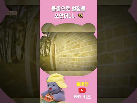 물총으로 벌집을 쏘았더니.. 🔫