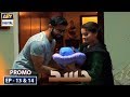 Watch Hassad Double Episode 13 & 14 (Promo) - ARY Digital Drama Online In Hd