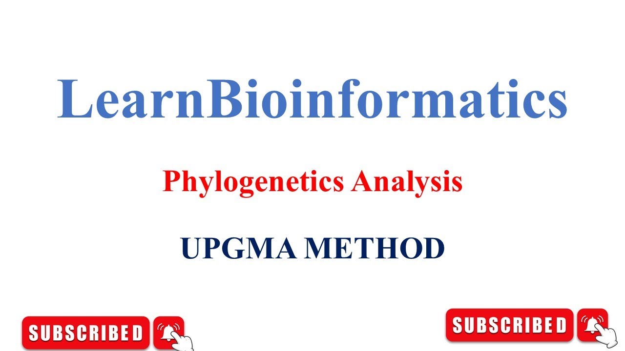 Phylogenetic Analysis-Distance Based Method-UPGMA Method - YouTube