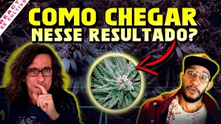 QUE GENÉTICAS UMA ASSOCIAÇÃO CULTIVA? CLONAGEM DOMINADA, ESPAÇO DE PROPAGAÇÃO E DICAS DE CULTIVO