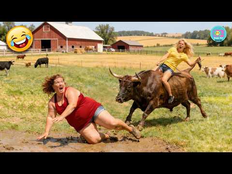 Try Not To Laugh - Hilarious Fails Moment Compilation | Fails, Pranks & Hilarious Moment
