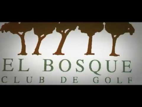 115X | Wilderland | NetEnt | CoolBet | Bonus