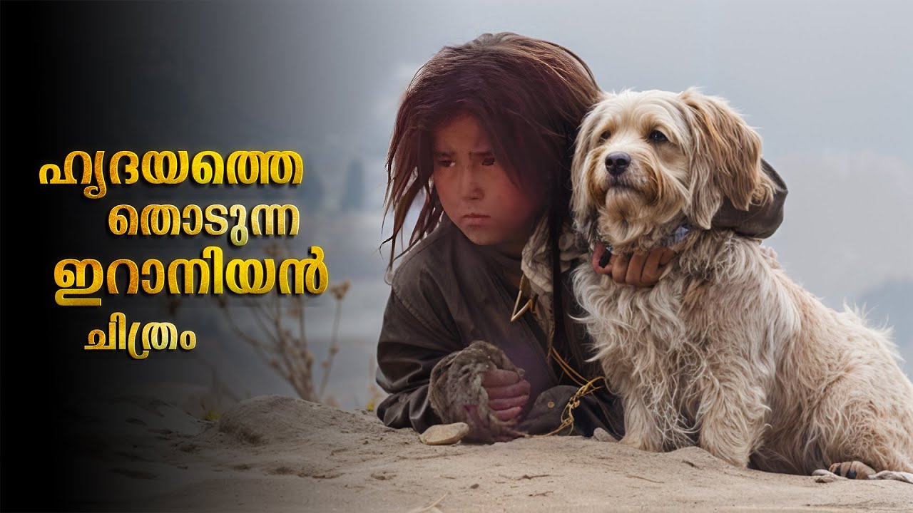 Persian Movie Explained In Malayalam | Iranian Movie Malayalam Explanation 