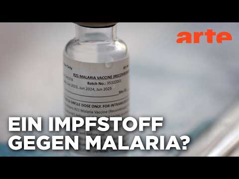 Malaria - Hoffnung in Sicht | Doku HD Reupload | ARTE