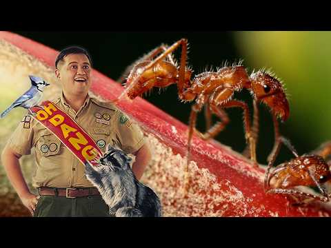 Frick, I Love Nature | Full Episodes