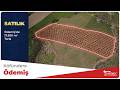 Startey Zeta 2 - ÖDEMİŞ KÖFÜNDERE 17.500 M2 SATILIK ZEYTİNLİ TARLA