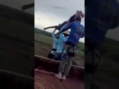 Video Bungee Jumping senza corda: incidente in Brasile, il video
