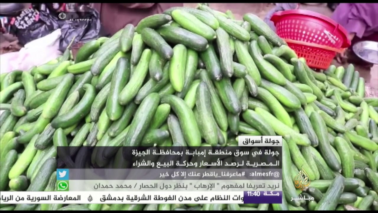 سوق منطقة إمبابة بمحافظة الجيزة بمصر لرصد الأسعار وحركة البيع والشراء