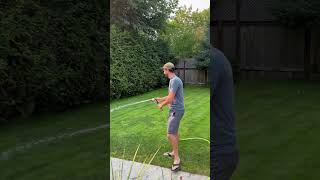 Man Uses a Water Hose to Force a Black Bear to Leave His Yard