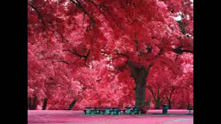 Pashto Nasheed Ramadan 2018 screenshot 3