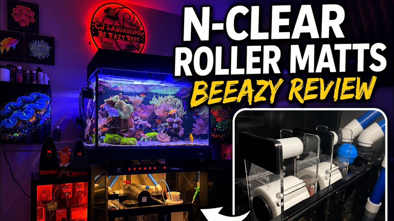 N-Clear roller mats — do they really work? video thumbnail