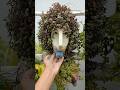 Hanging plant ideas for garden 💛 #trendingshorts #viralvideo