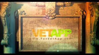The Vet App | Sands Of Time screenshot 3
