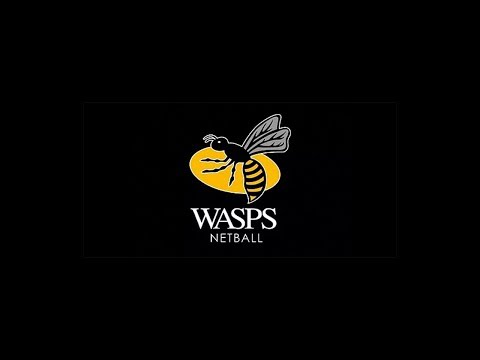 Introducing | Wasps Netball