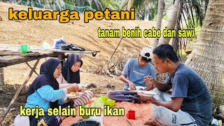 Download Lagu KELUARGA PETANI || TABUR BENIH SAWI DAN CABE DI KEBUN, KERJA SELAIN BURU IKAN MP3 Download Lagu KELUARGA PETANI || TABUR BENIH SAWI DAN CABE DI KEBUN, KERJA SELAIN BURU IKAN MP3