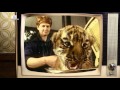 Amurtiger im Leipziger Zoo | Fernsehjahr 1990