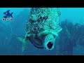 【魚を丸飲み】泳がせ釣りの衝撃捕食シーン100連発 vol.1 【MarinTube総集編】