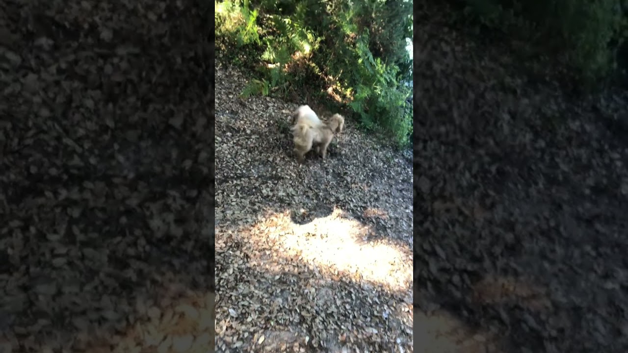 Petite rencontre😍